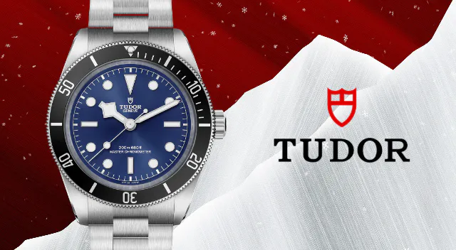 Rivenditore autorizzato Tudor Salerno