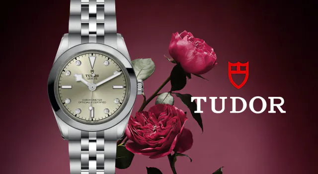 Rivenditore autorizzato Tudor Salerno