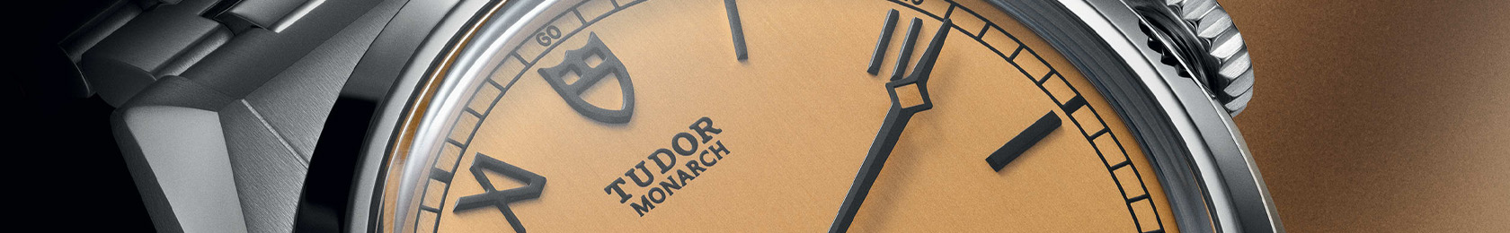 Collezione Tudor TUDOR Monarch ad Salerno